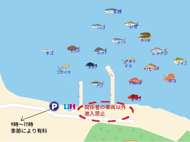 新鹿(あたしか)漁港の釣り場案内地図。釣りができる場所をイラストで示し、代表的な釣れる魚(メジナ、アオリイカ、カサゴなど)のイラスト付き。トイレや駐車スペースの位置も地図上に明示され、初心者にもわかりやすい内容。