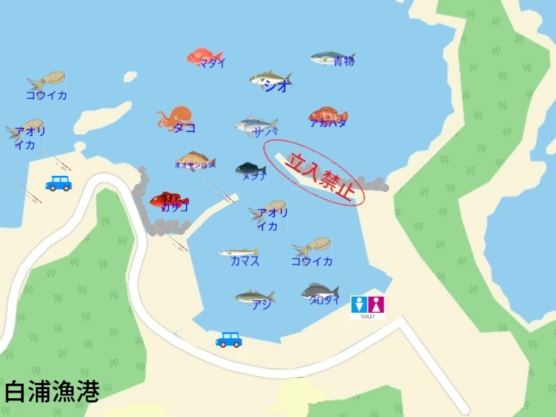 白浦漁港の釣り|釣り場の案内地図。釣れる魚のイラスト付きで、釣り場所を紹介。トイレ、駐車スペースも地図に表記。