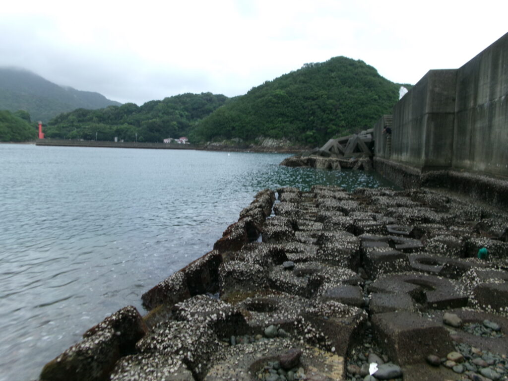 贄浦漁港対岸の小突堤下の画像。潮位が低いため捨て石付近で釣りができる。小突堤への通路は立ち入り禁止の看板あり。