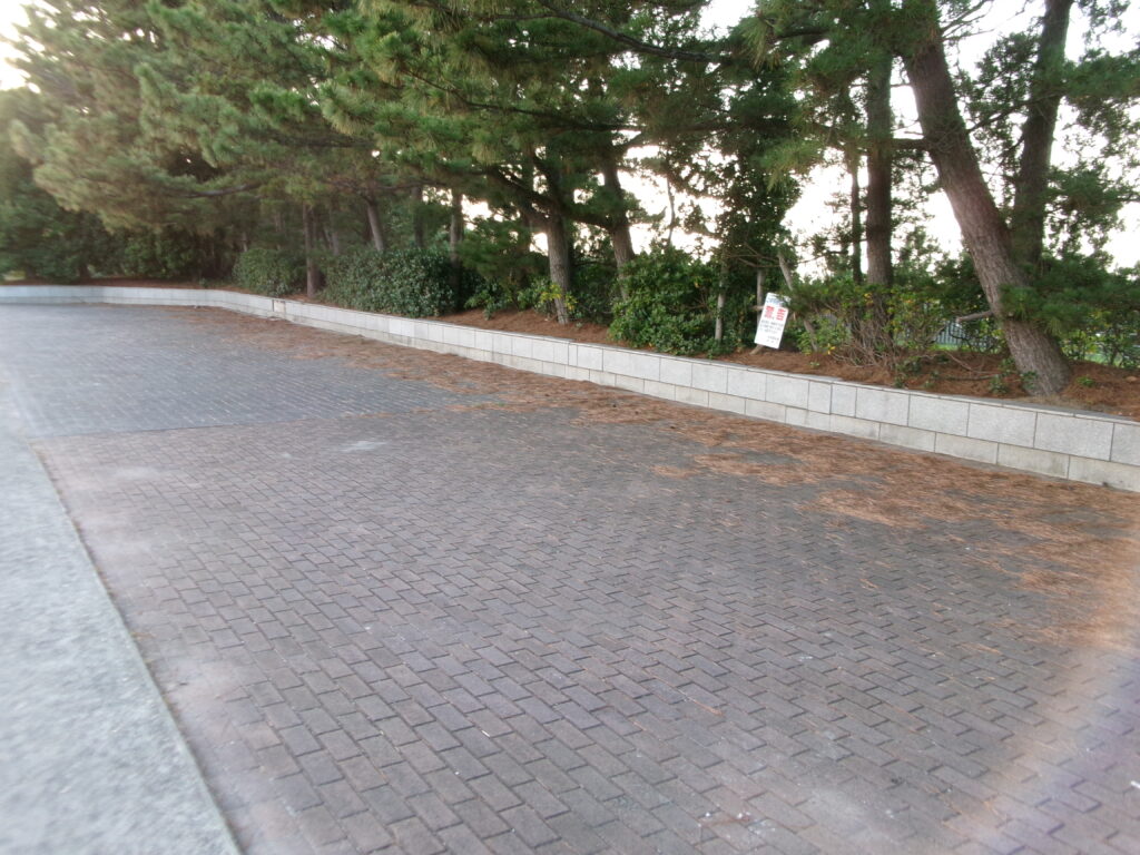 宮川河口の釣り場｜大湊海岸近くの駐車場の画像。広さがあり、数台停められます。