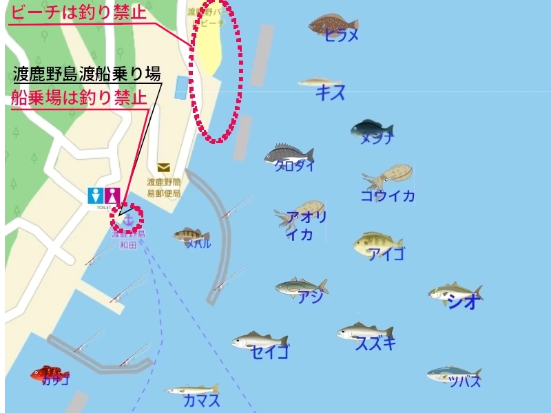 渡鹿野漁港のイラスト地図。イラストで釣れる魚と釣るポイント、釣り禁止場所、トイレも表示している。