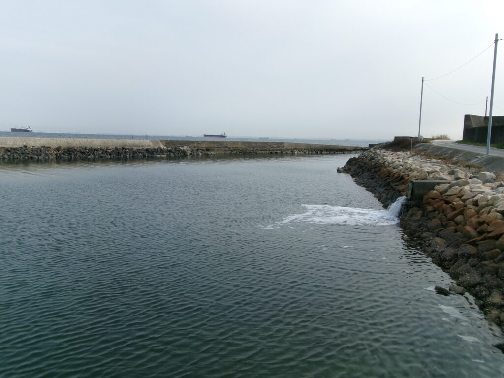 楠漁港の釣り場の写真。水深がやや浅く、潮位に注意が必要。