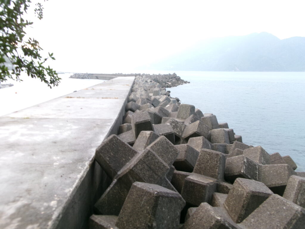 2025年8月20日の現地調査で撮影した、行野浦漁港の釣り場のテトラポットのある場所の写真。テトラポットの形状がわかるように撮影しており、足場に注意が必要なことが伝わるようにしている。