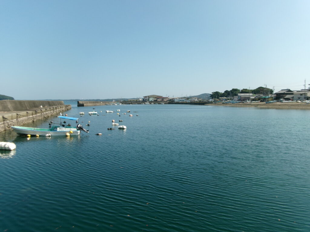 2025年9月9日の現地調査時の浜島港の写真です。静かな漁港で当日の釣り人は4名のみ。