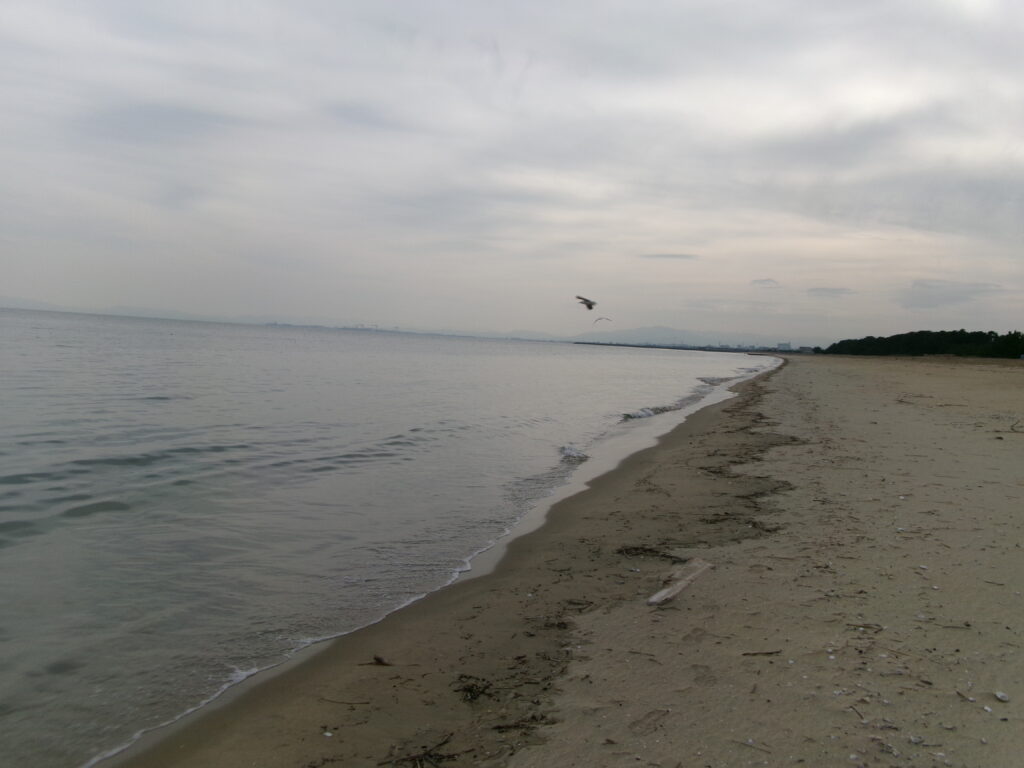 河芸漁港周辺のサーフ