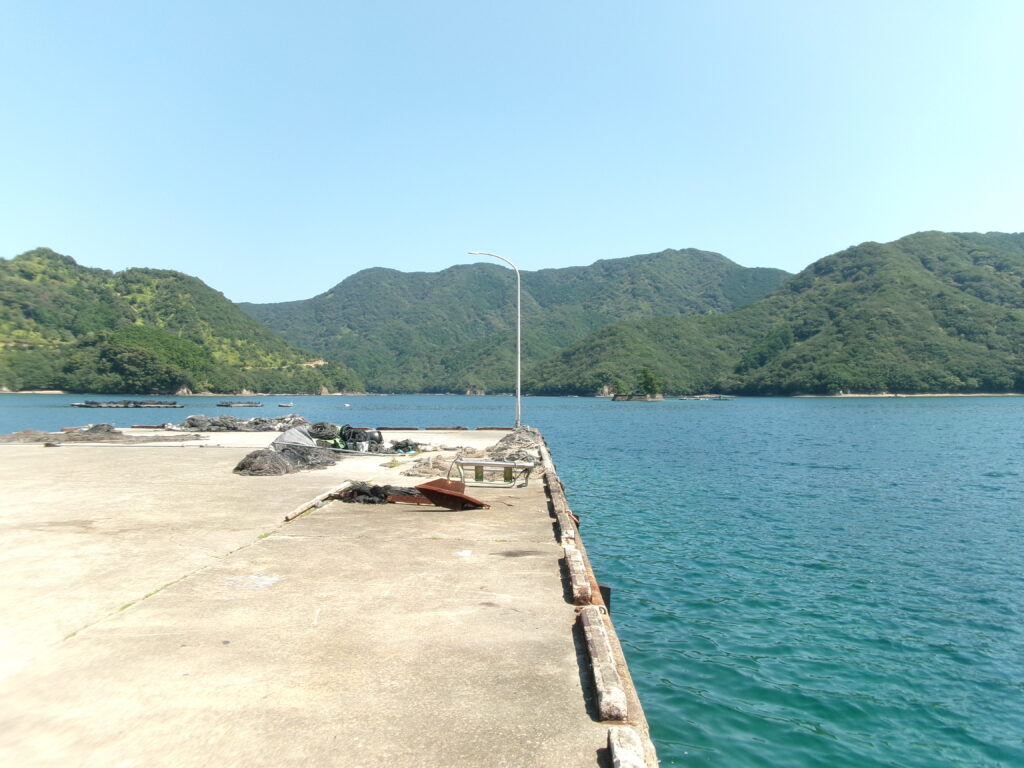 現地調査時に撮影した、小突堤の釣り場の写真。足場の様子や水面から釣り座が近いことがわかる。