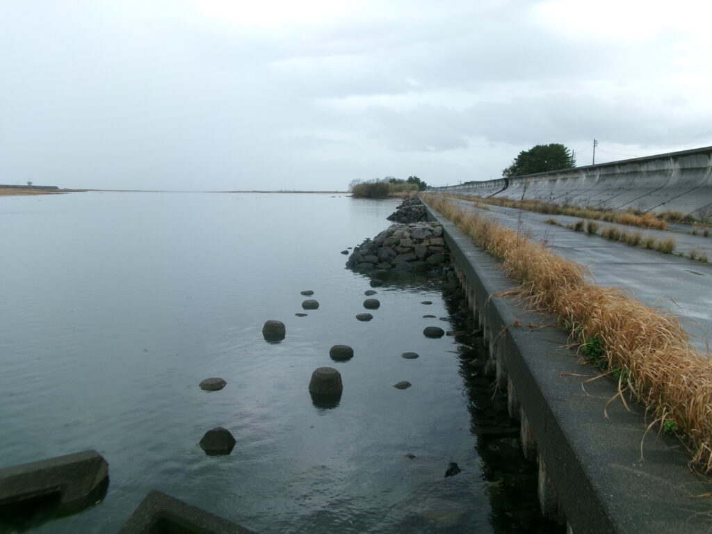 2026年3月31日に現地調査で撮影した、雲出川河口の足場がよい釣りポイント。写真から足場の良さがわかる。干潮になると水深が浅くなるため注意が必要。