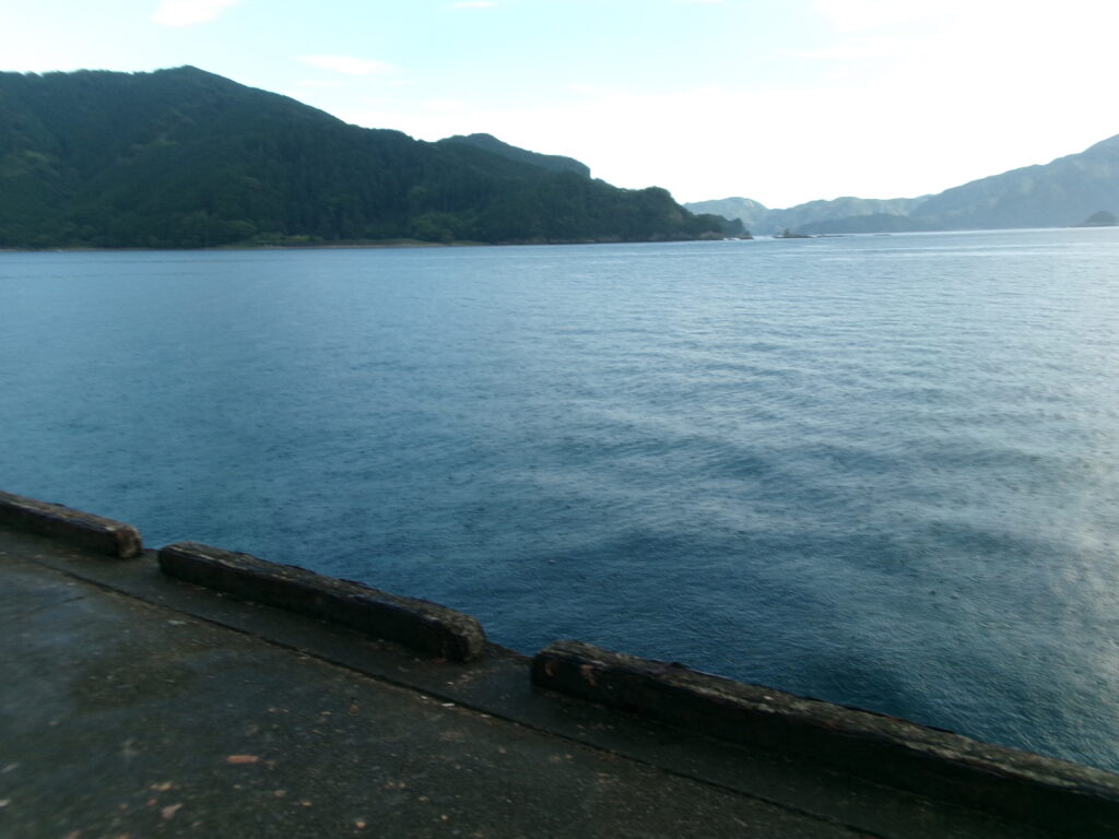 現地取材で撮影した引本港周辺の釣りができるポイント。足場の良さと水面の近さがわかる写真。