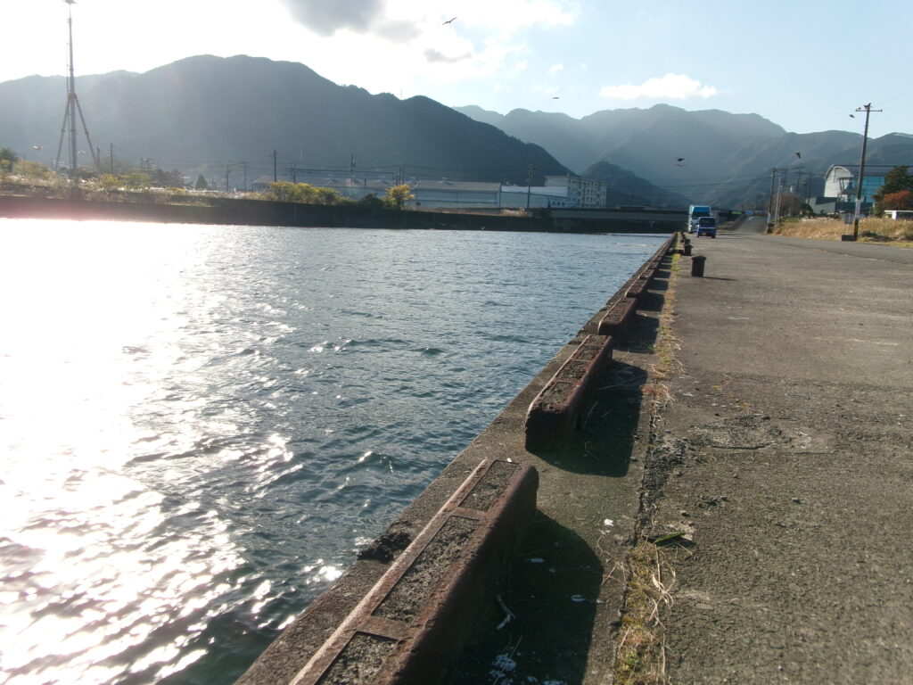 現地調査時の中川河口の釣り場の写真。河口部だが足場が整えられており、車のすぐそばで釣りが行える環境。