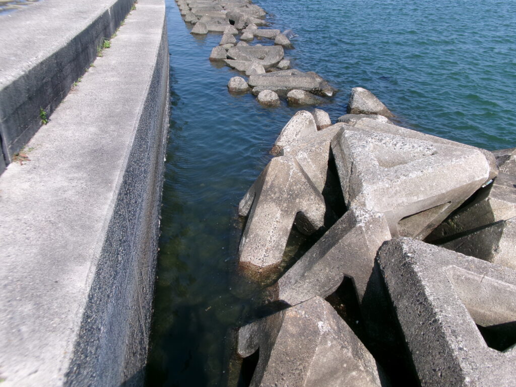 現地調査で撮影した、白子漁港周辺の沈んだテトラポッドの釣り場の写真。周囲ではカサゴが釣られていた。