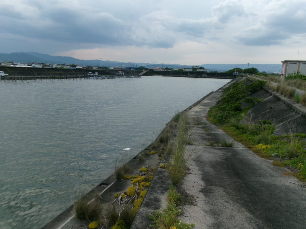 現地調査時に撮影した、三渡川河口の北側に少し外れたエリアの写真。足場の良さ、雰囲気がわかる。